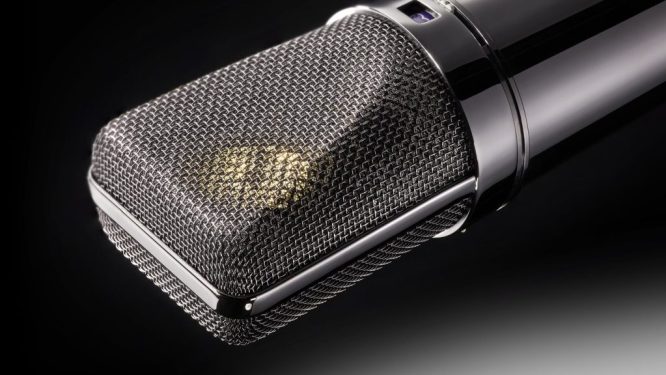 Neumann U 87 Anniversary 50 Rhodium Edition_E